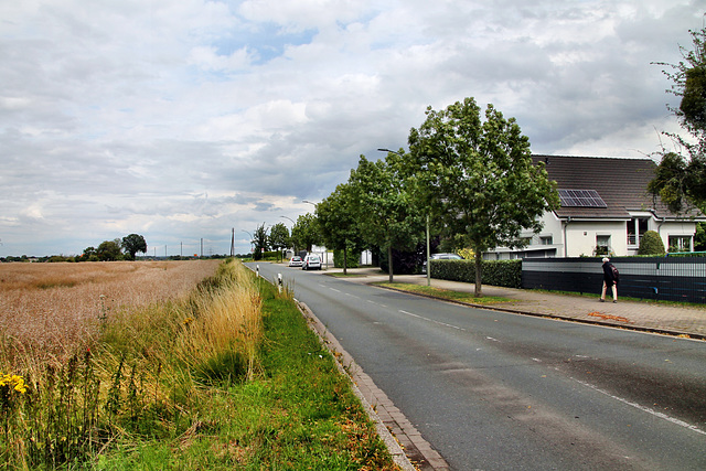 Südfeldweg (Hamm-Rhynern) / 6.07.2024