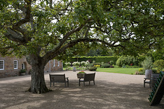 HBM ~ Seats at the vineyard