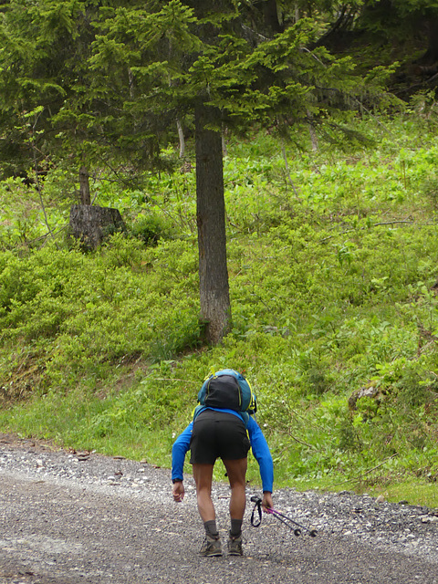 20160611 -18 Rando Meribel Les allues Jour2 Lac Bleu (6)