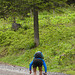 20160611 -18 Rando Meribel Les allues Jour2 Lac Bleu (6)