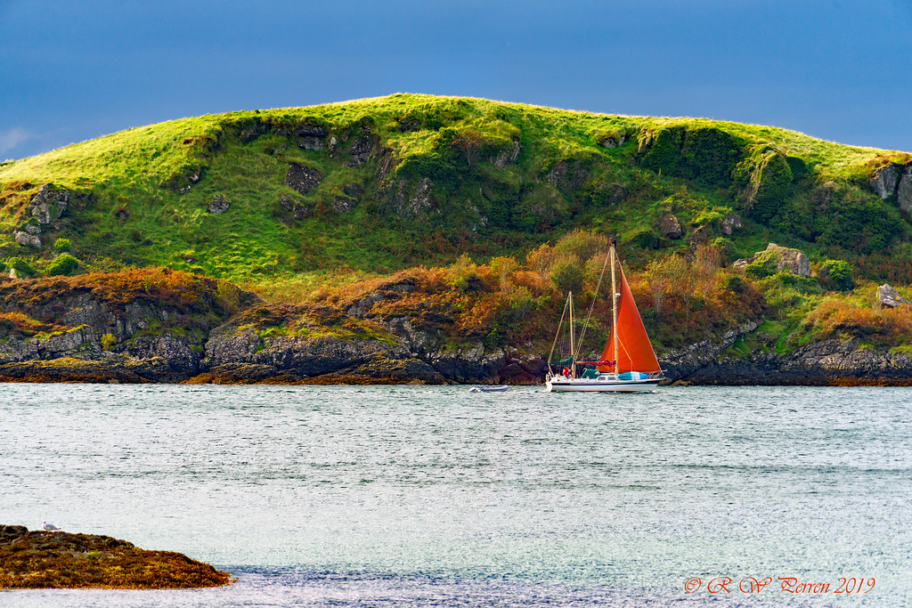 Autumn Sailing, pip