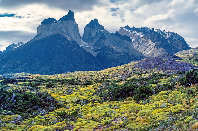 Torres del Paine