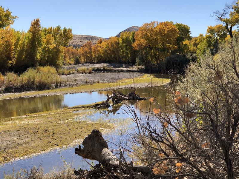 Carson River