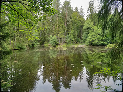 Zinnschützweiher