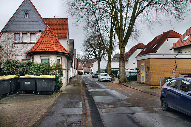 Knappenweg (Victoria-Siedlung, Lünen) / 4.03.2023