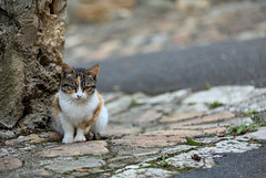 Kinda badassly grumpy