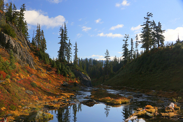 Autumn Color near Bagley Lakes