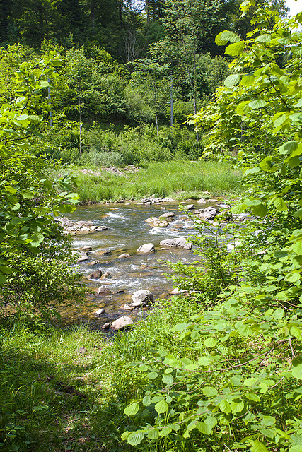 120527 Sihlbrugg-Sihlwald R