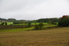 Landschaft nach Regen