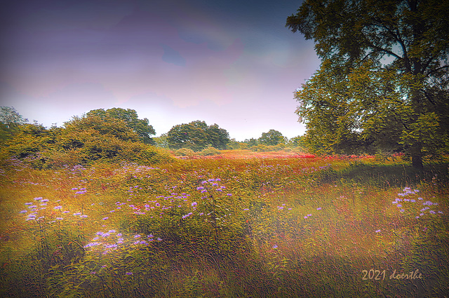 Late summer landscape