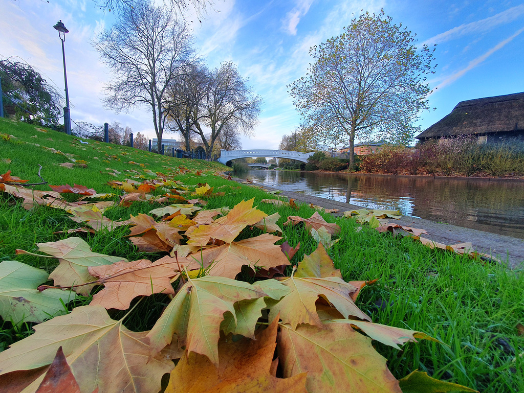 River Sow, Victoria Park