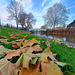 River Sow, Victoria Park