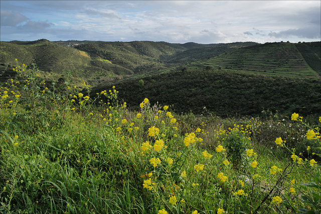 Penedos, Uphills view