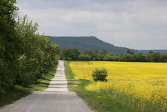 145/365 - Im Eichsfeld / Nebenstraßen und Natur