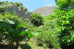 trematon castle (3)