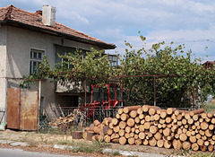 Logs ready for winter