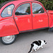 Citroën 2CV trifft Katze