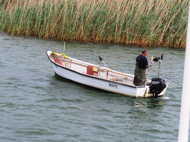 Delta del Ebro, 1