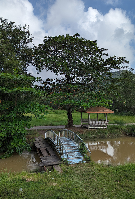 Petit pont piétonnier / Little pedestrian bridge