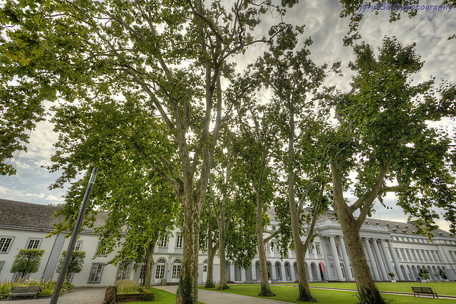 Kurfürstliches Schloss 4