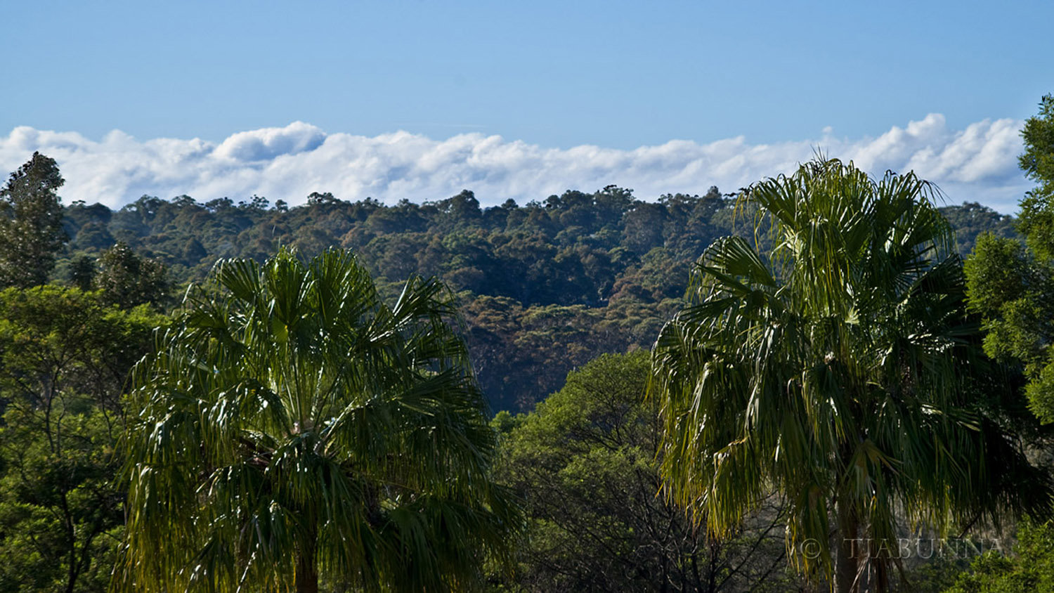 Distant clouds