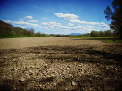 Terres blondes en Drôme