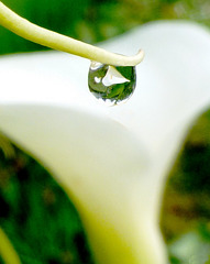 La goutte qui fera déborder le vase !