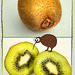 Kiwi on Kiwi... ©UdoSm