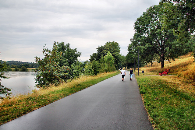 Weg am Kemnader See (Bochum-Stiepel) / 13.07.2023