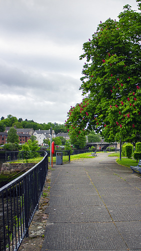 Dumbarton Quay, One Year Ago Today