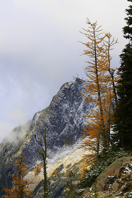 Porcupine Peak and Larches