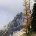 Porcupine Peak and Larches