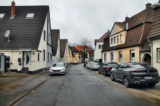 Lindenstraße (Victoria-Siedlung, Lünen) / 4.03.2023