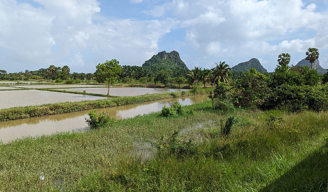 Thailand's countryside /La belle campagne thaïlandaise