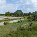 Thailand's countryside /La belle campagne thaïlandaise