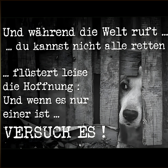 Mitgefühl