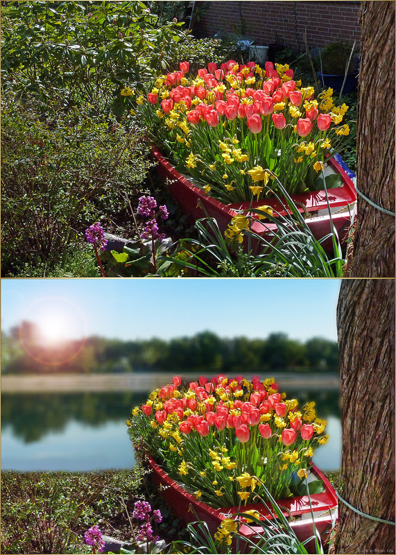 flower boat  ☼