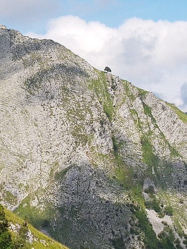 Vallée de Batsurguère depuis le pic d'Alian.