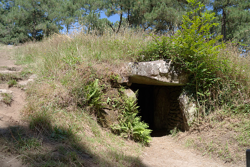 20.07.11 Tumulus de Kernours 1