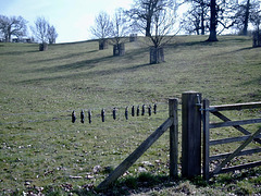 Between Oversley Castle Trig Point and Wixford.