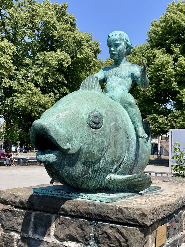 Karpfen AM Teich