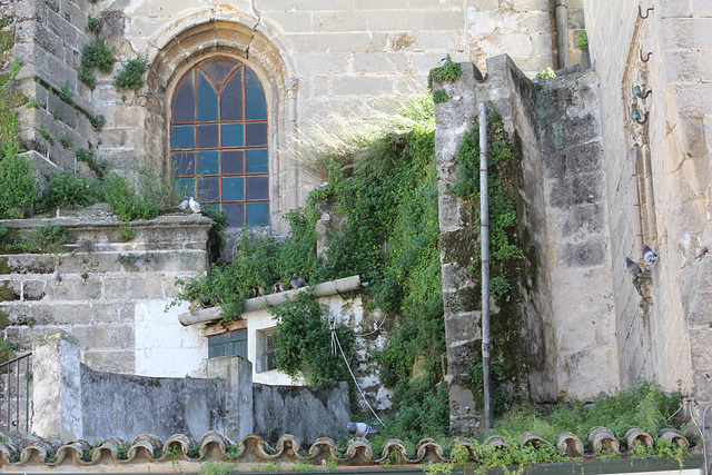 San Dionisio