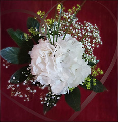 Friday flowers Friday flowers