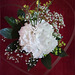 Friday flowers