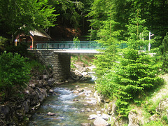 Au lac de Montriond