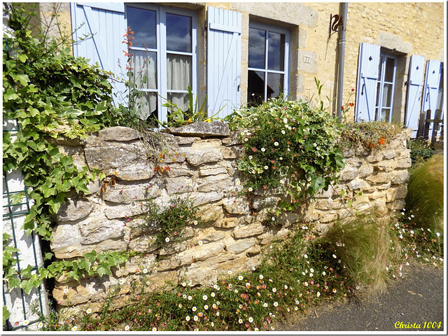 Rustic stone wall in summer dress