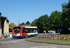 Stagecoach in Cambridge (Cambus) 36041 (AE08 NVR) in Cambridge - 5 Jul 2019 (P1020989)