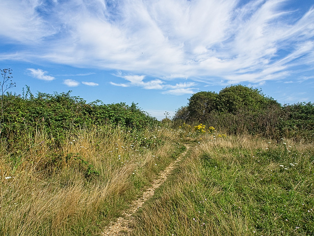 Milton Common, Portsmouth (+PiP)