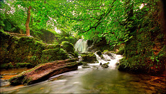 Janet's Foss