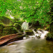 Janet's Foss